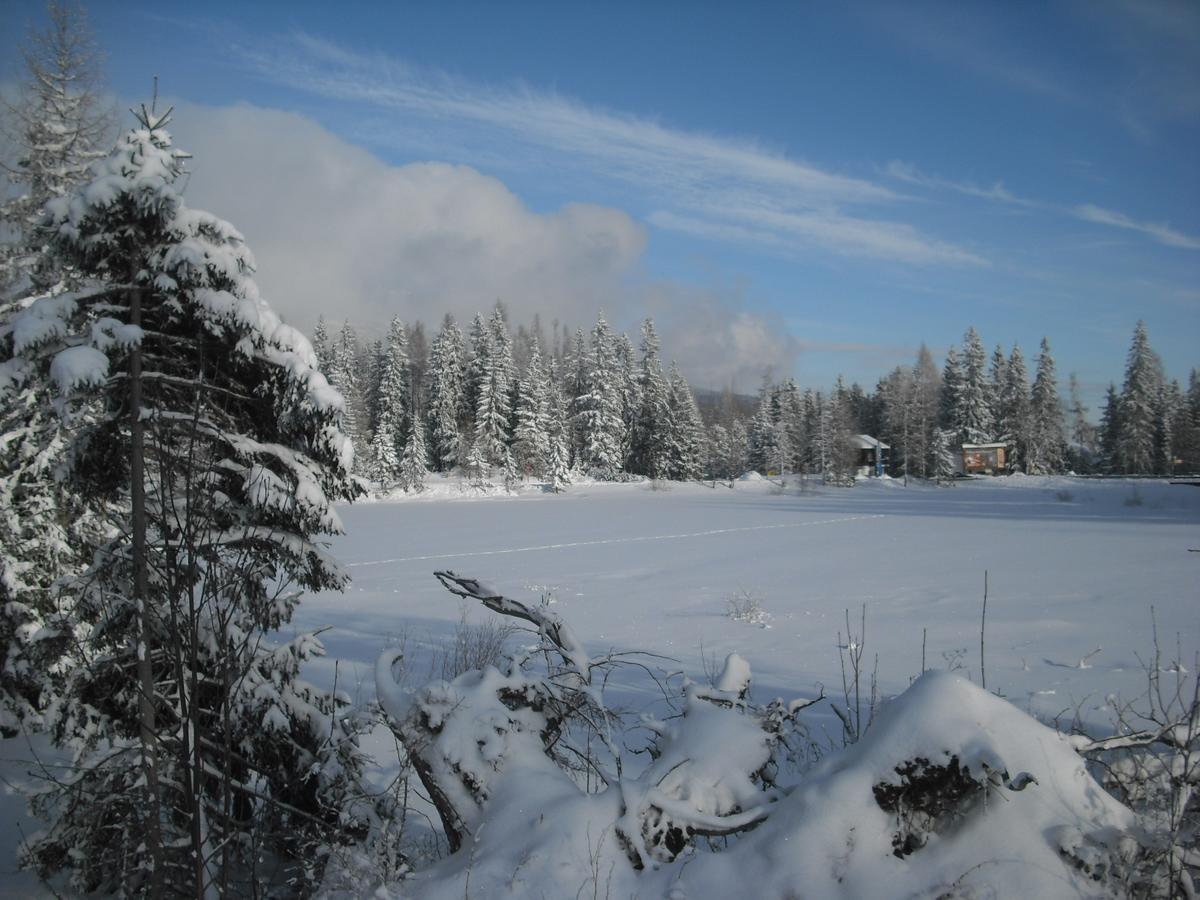 Apartman Panorama 213, Studio Comfort Štrbské Pleso Buitenkant foto